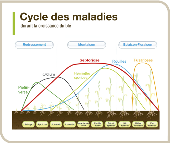 Guérir leczéma à bras pour toujours