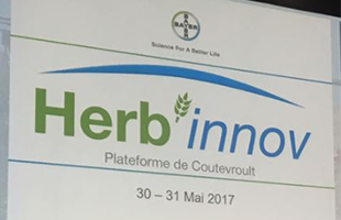 Plateforme Herb’innov 2017 : la rotation des cultures au cœur du raisonnement du désherbage