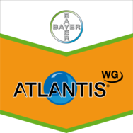 Atlantis Wg Atlantis Wg