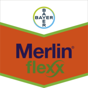 Merlin® Flexx