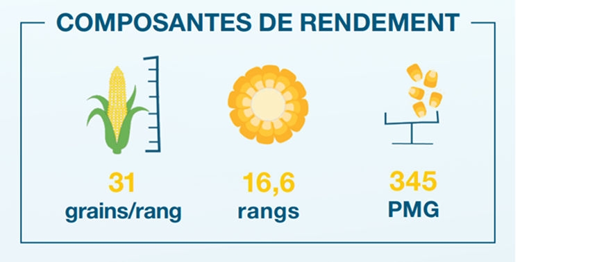 Composantes de rendement