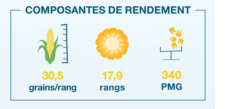 Composantes de rendement