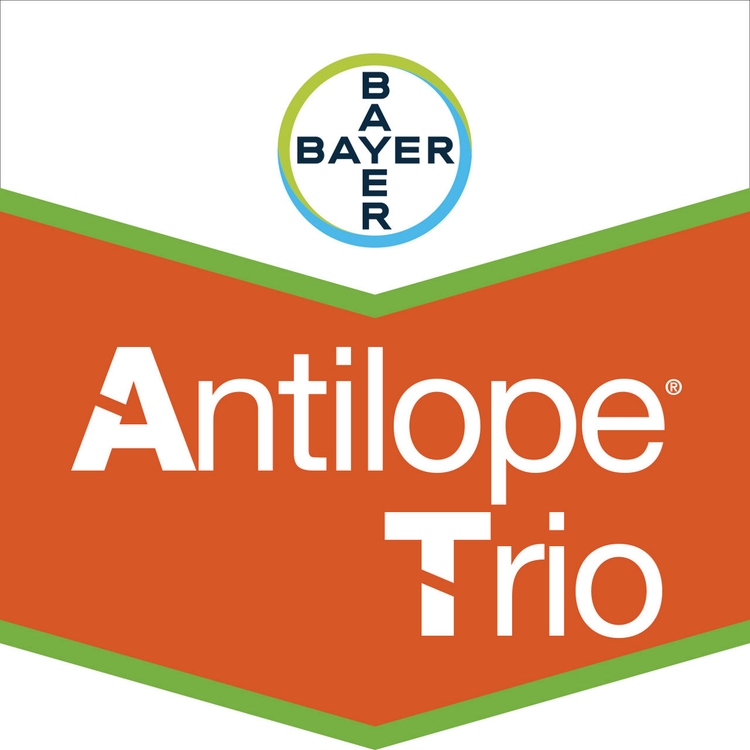 Emballage du produit 1