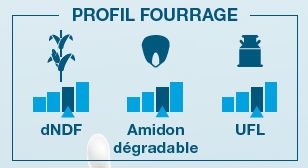 Composantes laitière