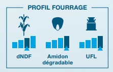 Composantes laitière