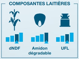Composantes laitière