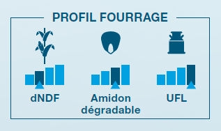 Composantes laitière