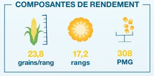 Composantes de rendement