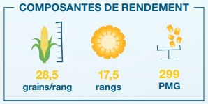 Composantes de rendement