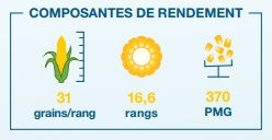Composantes de rendement