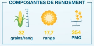 Composantes de rendement