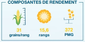 Composantes de rendement