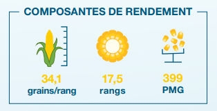 Composantes de rendement