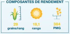Composantes de rendement