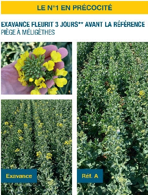 Performances agronomiques