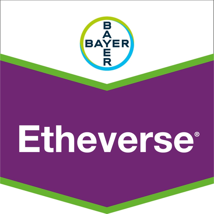 Emballage du produit 1