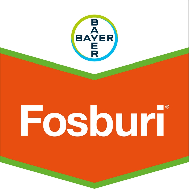 Emballage du produit 1