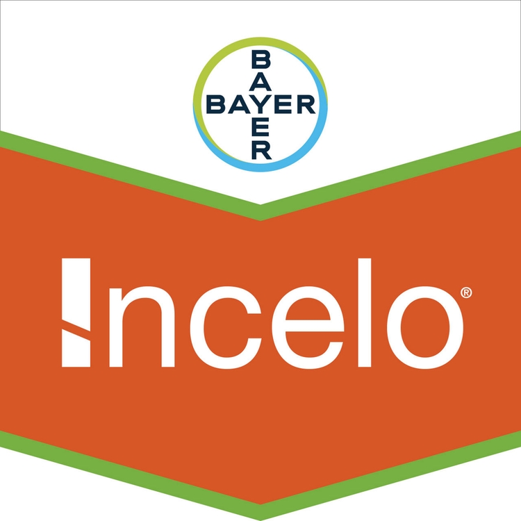 Emballage du produit 1