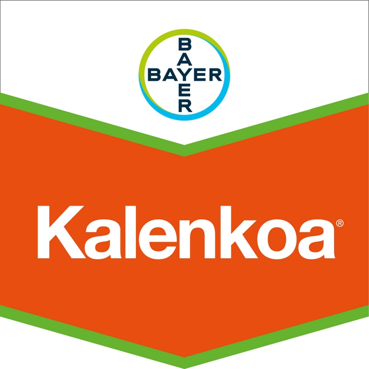 Emballage du produit 1