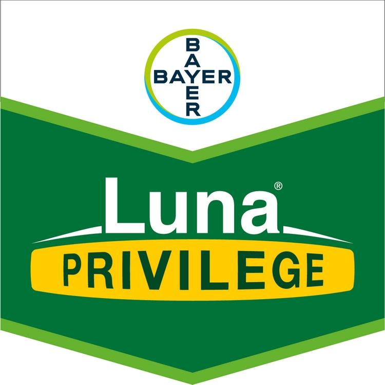 Emballage du produit 1