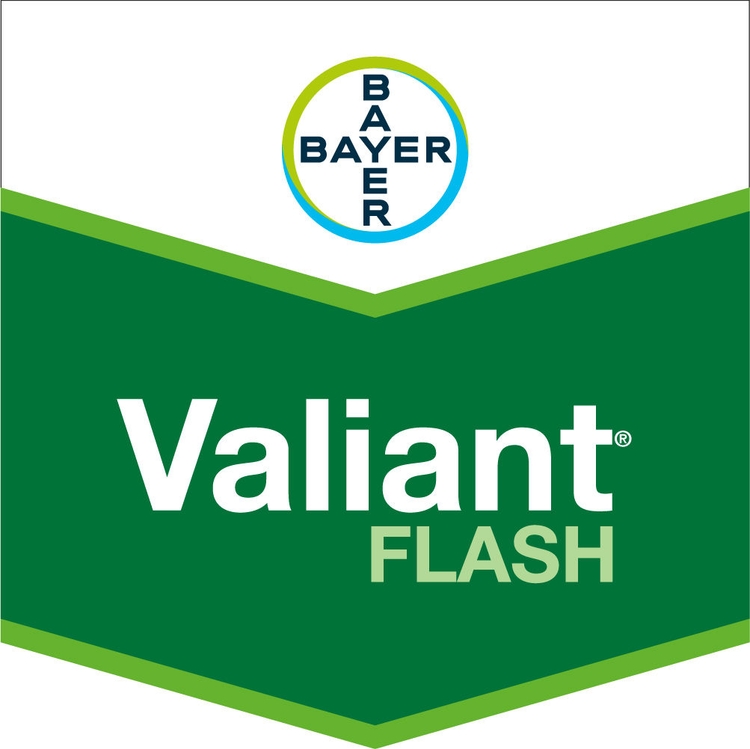 Emballage du produit 1