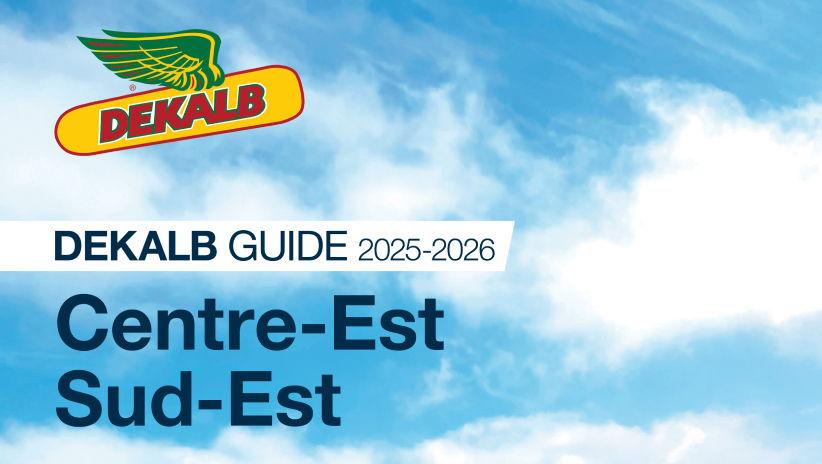 Région Centre Est Sud Est