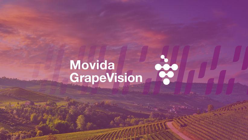 Movida Grape Vision