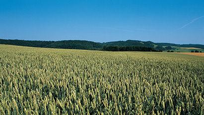 Mateno, le meilleur compromis technico-économique selon les agriculteurs