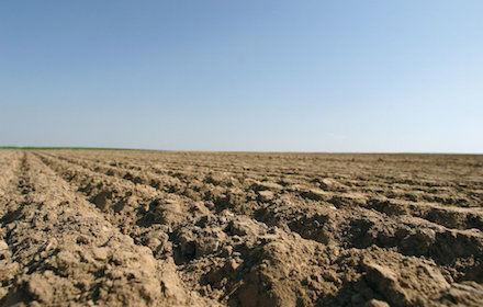 Comment bien démarrer la campagne de désherbage ?