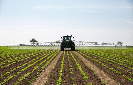 Désherbage des betteraves CONVISO SMART