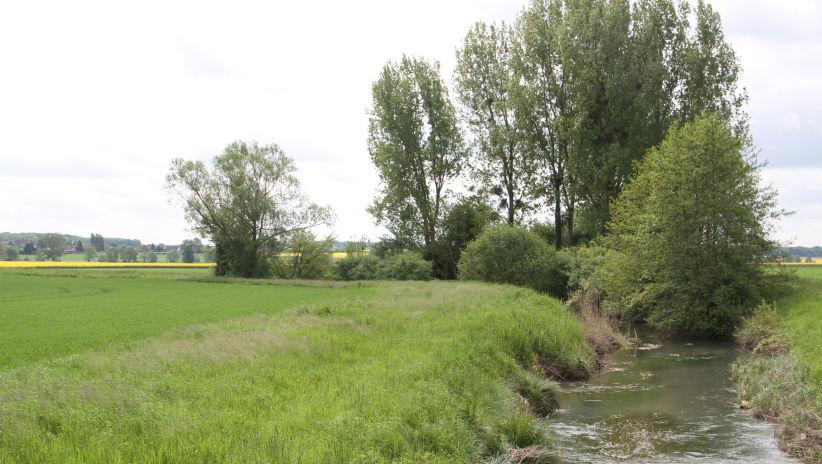 Le drainage : enjeux, encadrement