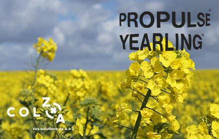 Pourquoi choisir Yearling® / Propulse® ?