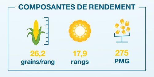 Composantes de rendement