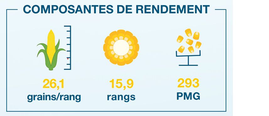 Composantes de rendement