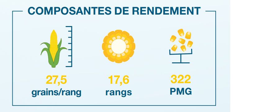 Composantes de rendement