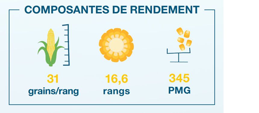 Composantes de rendement