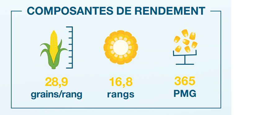 Composantes de rendement