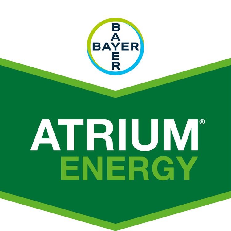 Emballage du produit 1