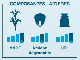 Composantes laitière