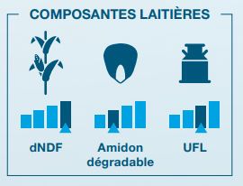 Composantes laitière