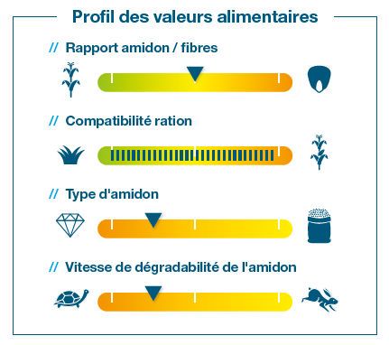 Composantes de rendement