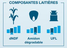 Composantes laitière