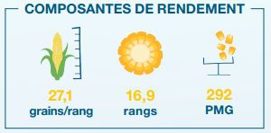 Composantes de rendement