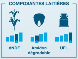 Composantes laitière