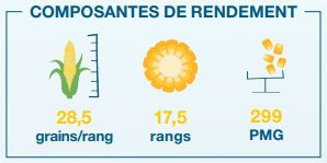 Composantes de rendement