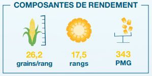 Composantes de rendement