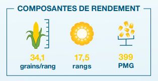 Composantes de rendement
