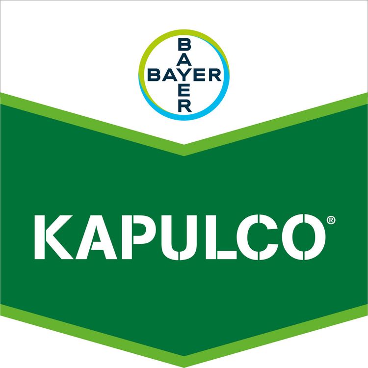 Emballage du produit 1