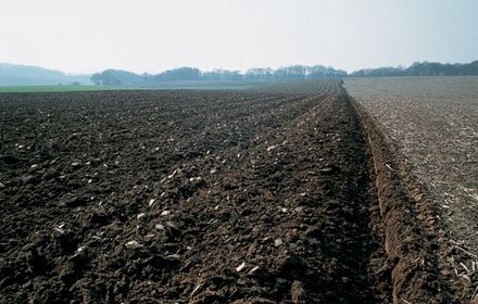 Les méthodes agronomiques pour limiter la pression maladies