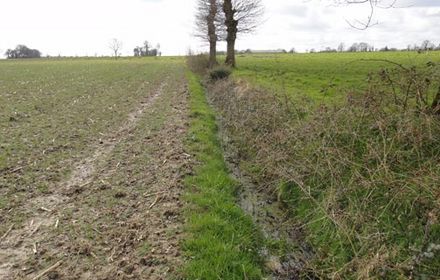 Comment protéger la ressource en eau ?